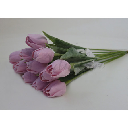 Tulipán světle růžový - 12ks (SG110 )