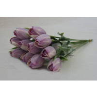 Tulipán světle fialový-12ks (A1056)