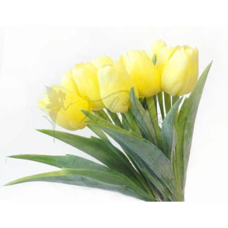 Tulipán citronově žlutý - 12ks (115)