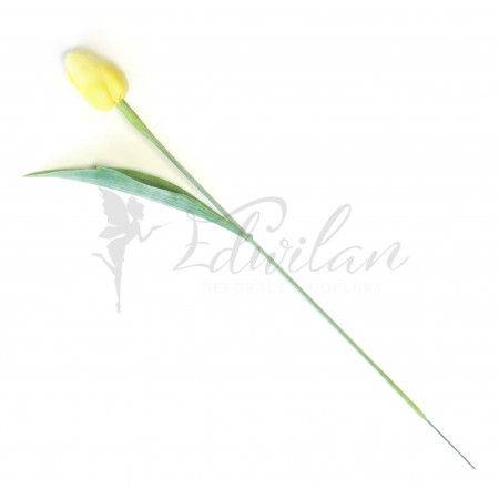 Tulipán citronově žlutý - 12ks (115)