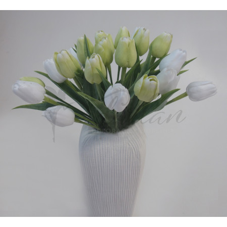 Tulipán bílo-zelený - 12ks (1013)