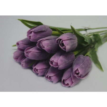 Tulipán tmavě fialový - 12ks (1140)