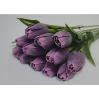 Tulipán tmavě fialový - 12ks (1140)