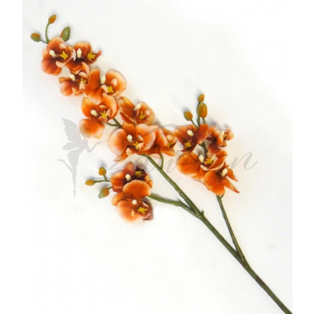 Mini orchidej UK200