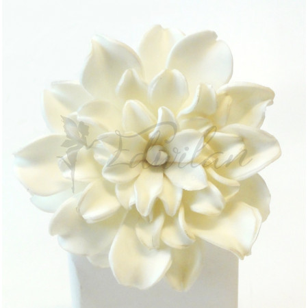 Květina - exotická bílá