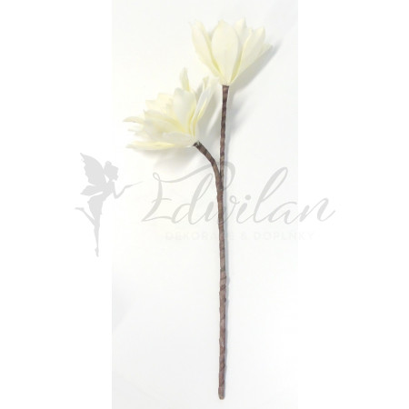 Exotická květina krémová - dvoukvětá