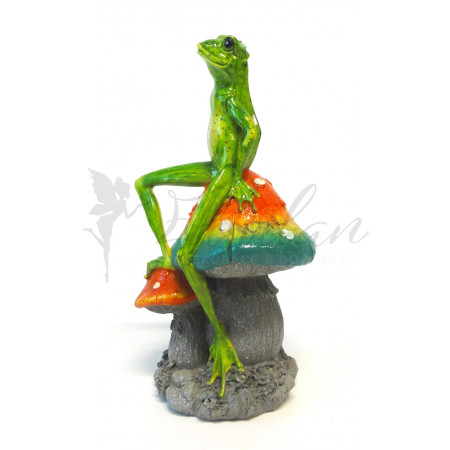 Žába sedící na houbě